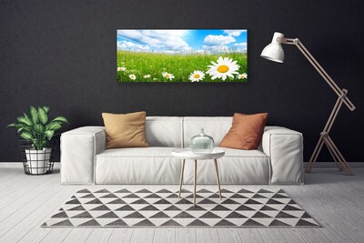 Bild canvas Daisy Grass Nature