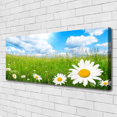 Bild canvas Daisy Grass Nature