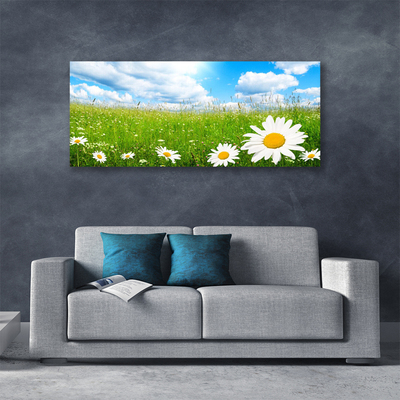 Bild canvas Daisy Grass Nature