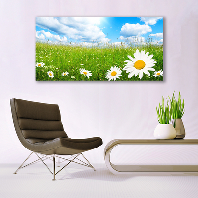 Bild canvas Daisy Grass Nature