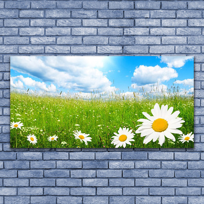 Bild canvas Daisy Grass Nature