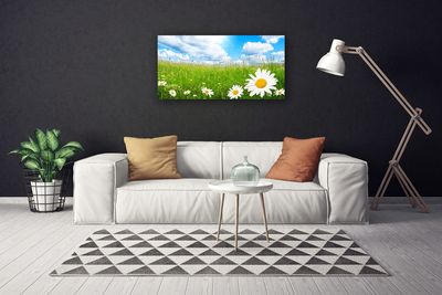 Bild canvas Daisy Grass Nature