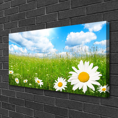 Bild canvas Daisy Grass Nature