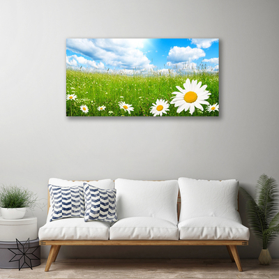 Bild canvas Daisy Grass Nature