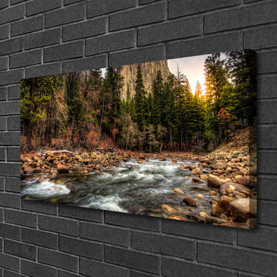 Canvas bild Forest Lake Naturvatten