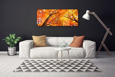 Bild canvas Träd Natur