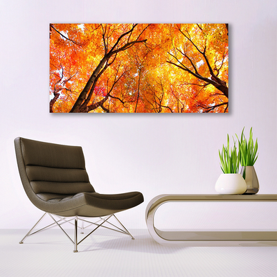 Bild canvas Träd Natur