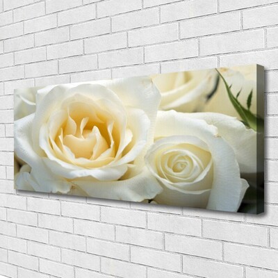 Bild canvas Rosor Blommor