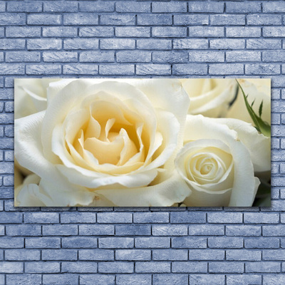 Bild canvas Rosor Blommor