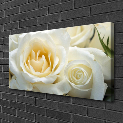 Bild canvas Rosor Blommor