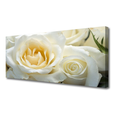 Bild canvas Rosor Blommor