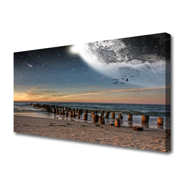 Canvas bild Ocean Beach Landskap