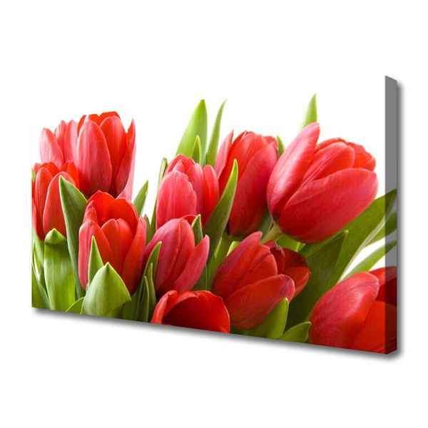 Bild canvas Tulpaner Blommor Plant