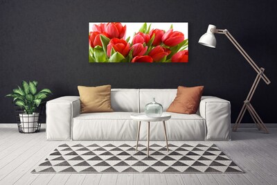 Bild canvas Tulpaner Blommor Plant