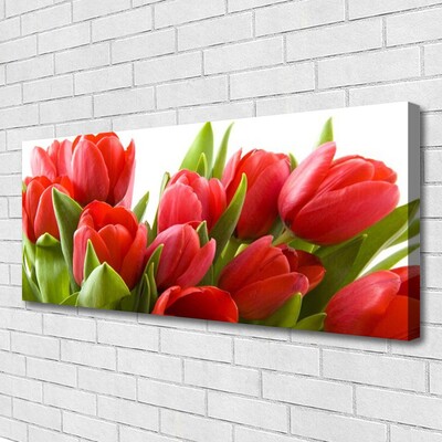 Bild canvas Tulpaner Blommor Plant