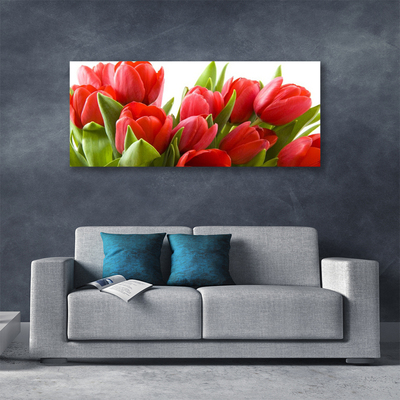 Bild canvas Tulpaner Blommor Plant