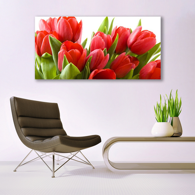 Bild canvas Tulpaner Blommor Plant