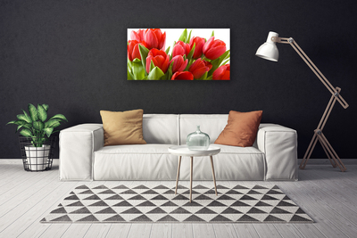 Bild canvas Tulpaner Blommor Plant