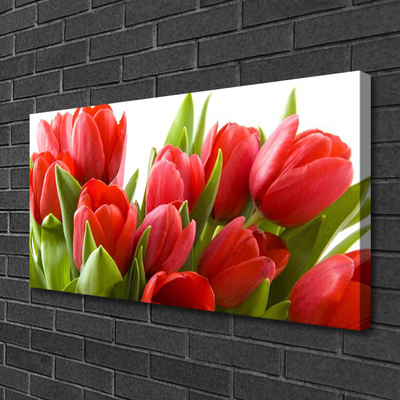 Bild canvas Tulpaner Blommor Plant