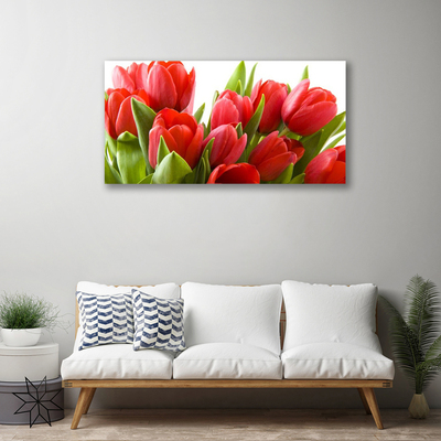 Bild canvas Tulpaner Blommor Plant