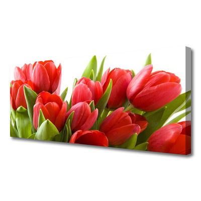 Bild canvas Tulpaner Blommor Plant