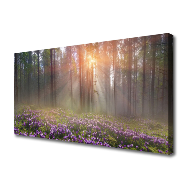 Bild canvas Skogsblommor Växtnatur