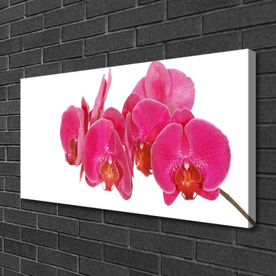 Fototryck canvas Blommor Växt