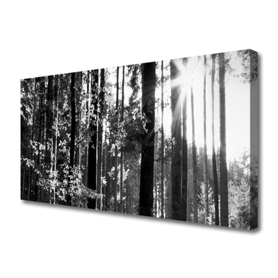 Fototryck canvas Skogsnaturträd