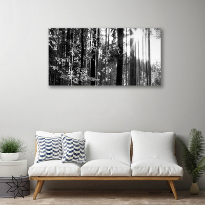 Fototryck canvas Skogsnaturträd