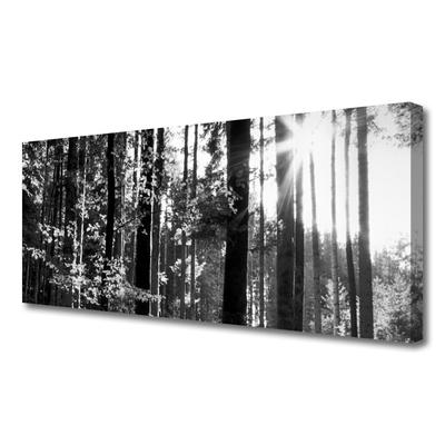 Fototryck canvas Skogsnaturträd