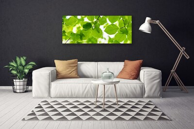 Fototryck canvas Lämnar Naturväxt