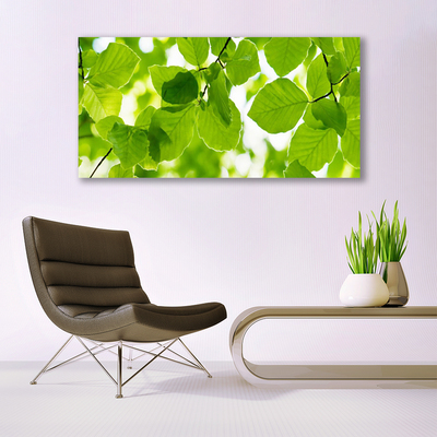 Fototryck canvas Lämnar Naturväxt