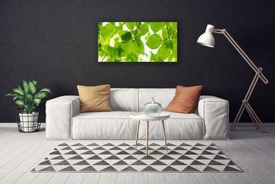 Fototryck canvas Lämnar Naturväxt