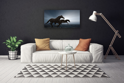 Fototryck canvas Hästar Djur