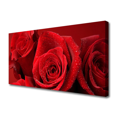 Canvas bild Rosor Blommor