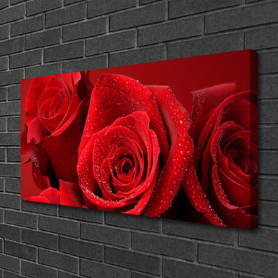 Canvas bild Rosor Blommor