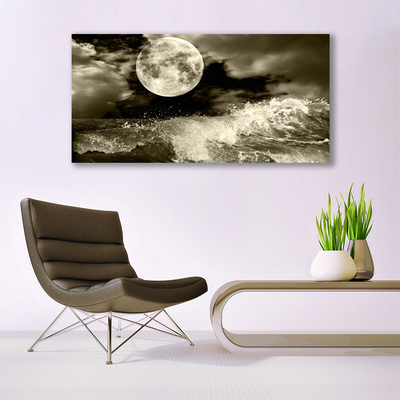 Fototryck canvas Nattmånelandskap