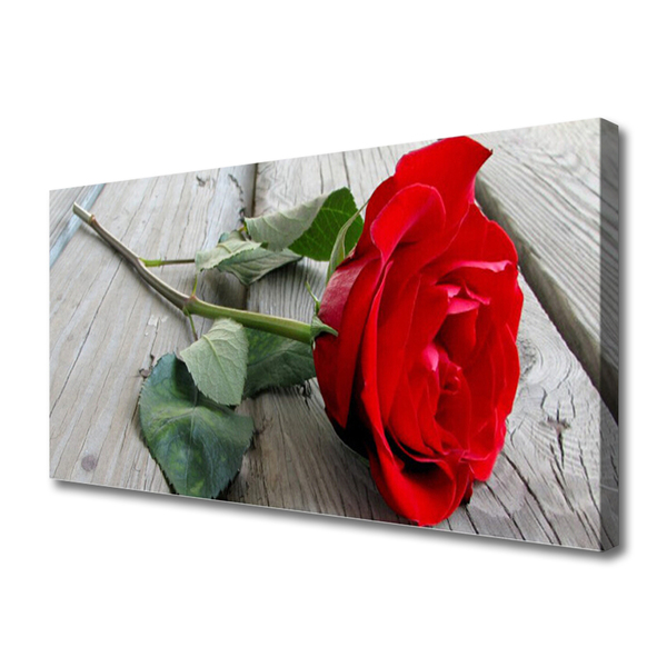 Canvas bild Rosor Blommor