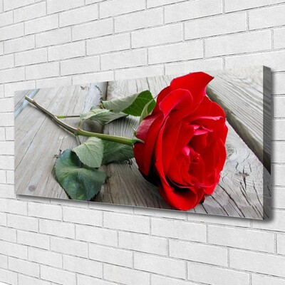 Canvas bild Rosor Blommor