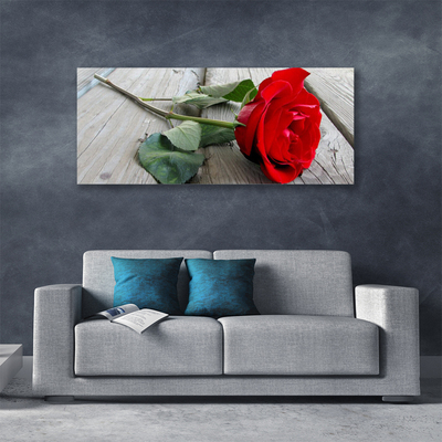 Canvas bild Rosor Blommor