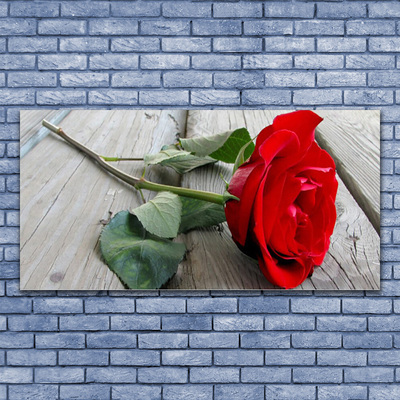 Canvas bild Rosor Blommor