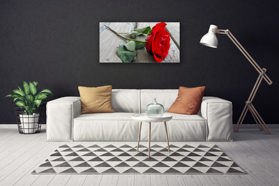 Canvas bild Rosor Blommor