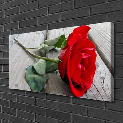 Canvas bild Rosor Blommor