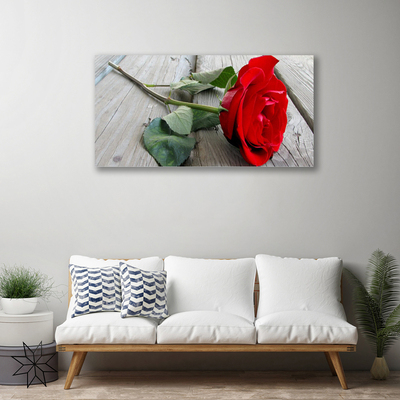 Canvas bild Rosor Blommor