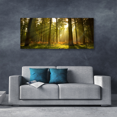 Canvas bild Skogsnaturträd