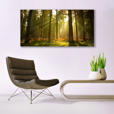 Canvas bild Skogsnaturträd