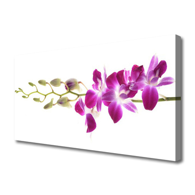 Fototryck canvas Blommor Växtnatur