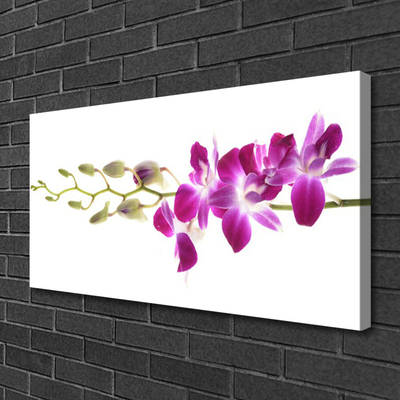 Fototryck canvas Blommor Växtnatur