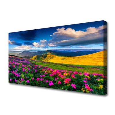 Fototryck canvas Ängsblommor Naturväxt