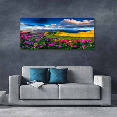 Fototryck canvas Ängsblommor Naturväxt